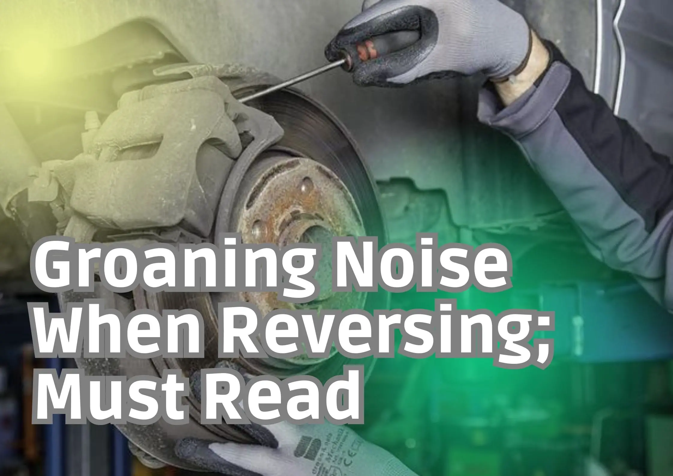 Groaning Noise When Reversing